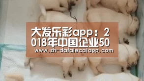 大发乐彩app：2018年中国企业500强排行榜出炉 入围门槛首次破300亿元