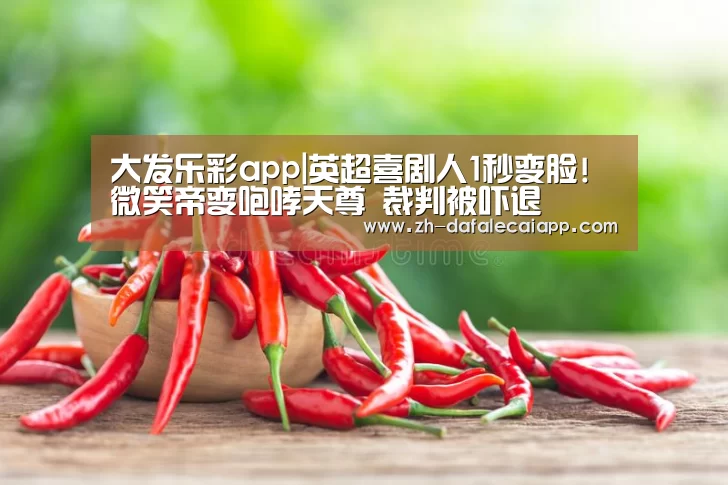 大发乐彩app|英超喜剧人1秒变脸!微笑帝变咆哮天尊 裁判被吓退(图4) 大发乐彩app