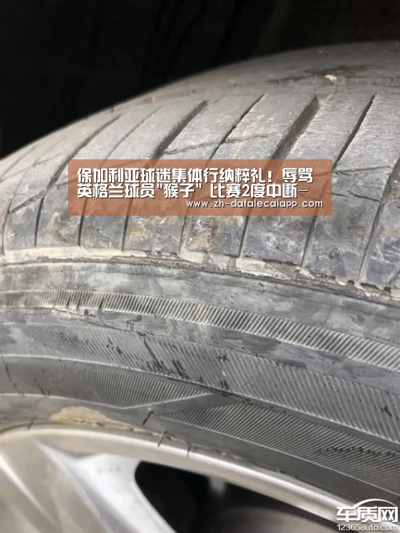 大发乐彩app